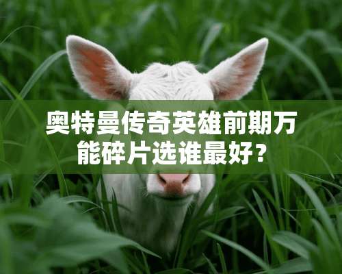 奥特曼传奇英雄前期万能碎片选谁最好？