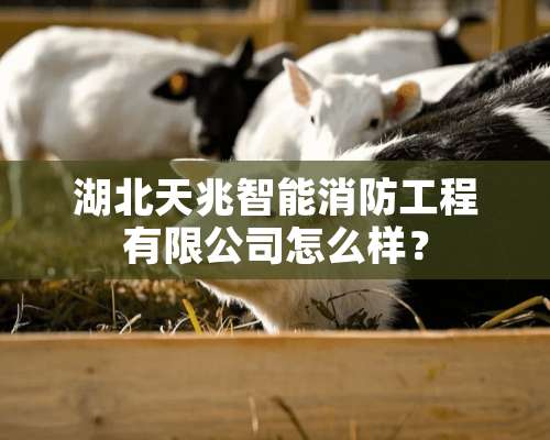 湖北天兆智能消防工程有限公司怎么样？