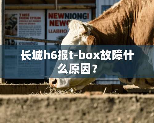 长城h6报t-box故障什么原因？