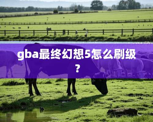 gba最终幻想5怎么刷级？