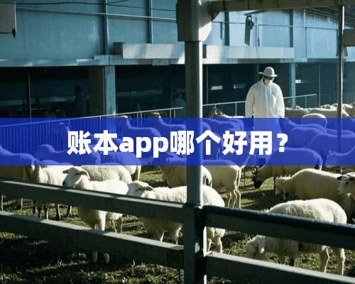 账本app哪个好用？