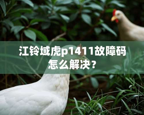 江铃域虎p1411故障码怎么解决？