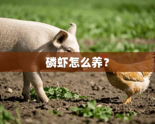 磷虾怎么养？