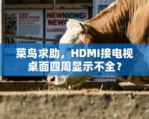 菜鸟求助，HDMI接电视桌面四周显示不全？