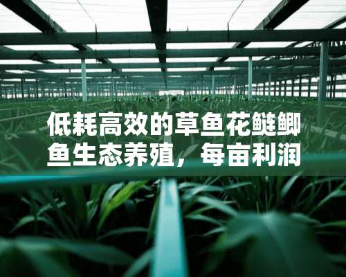 低耗高效的草鱼花鲢鲫鱼生态养殖，每亩利润高达7,000元