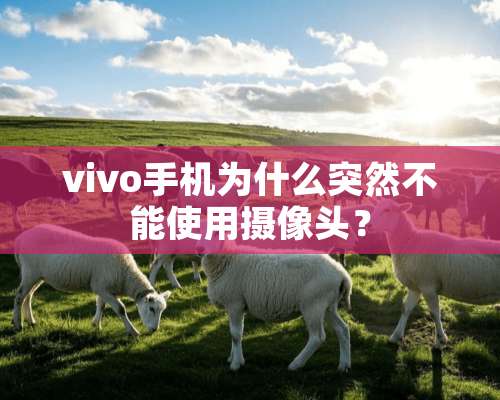 vivo手机为什么突然不能使用**头？