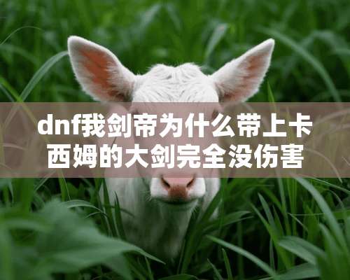 dnf我剑帝为什么带上卡西姆的大剑完全没伤害