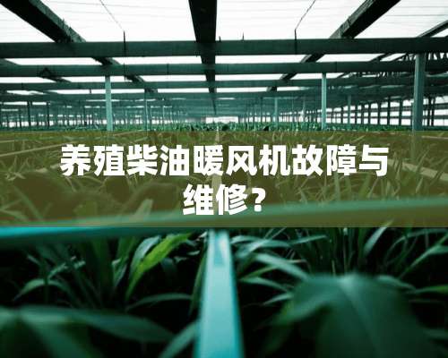 养殖柴油暖风机故障与维修？