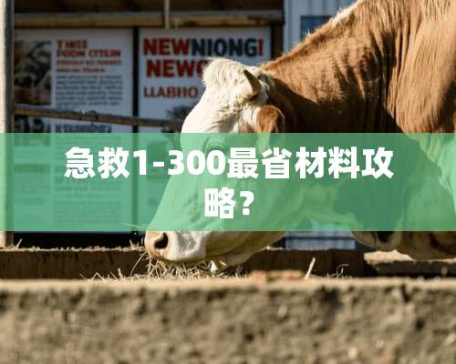 急救1-300最省材料攻略？