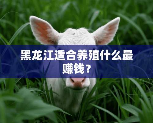 黑龙江适合养殖什么最赚钱？