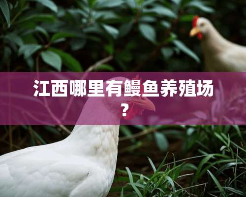 江西哪里有鳗鱼养殖场？