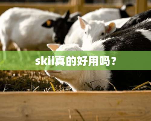 skii真的好用吗？