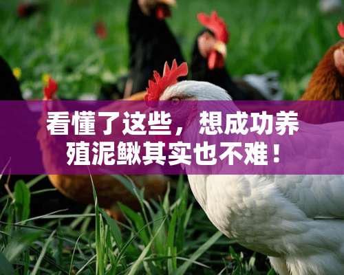 看懂了这些，想成功养殖泥鳅其实也不难！