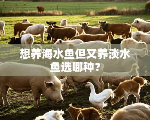 想养海水鱼但又养淡水鱼选哪种？