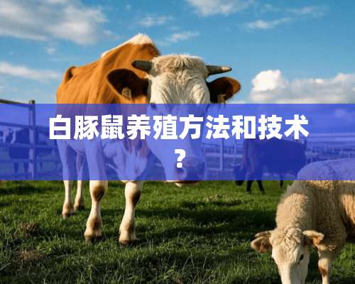 白豚鼠养殖方法和技术？