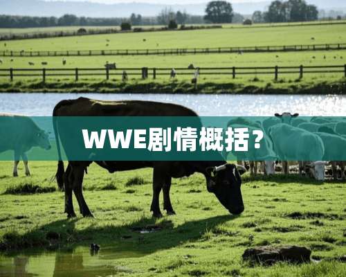 WWE剧情概括？