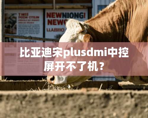 比亚迪宋plusdmi中控屏开不了机？