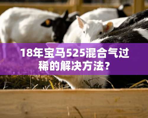 18年宝马525混合气过稀的解决方法？