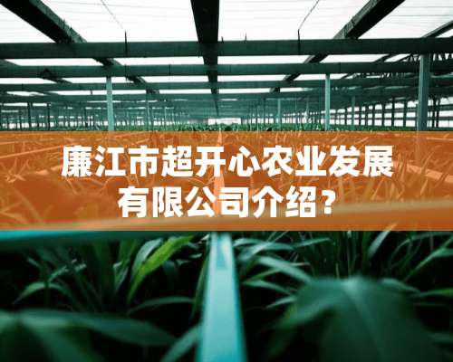 廉江市超开心农业发展有限公司介绍？