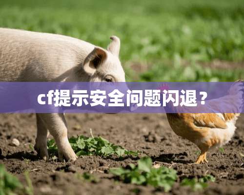 cf提示安全问题闪退？