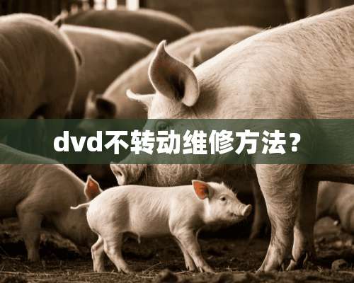 dvd不转动维修方法？