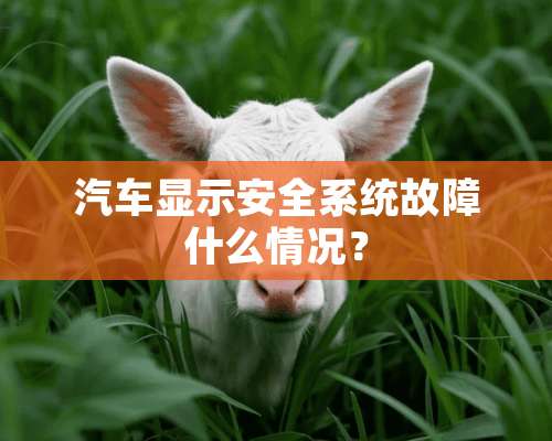 汽车显示安全系统故障什么情况？