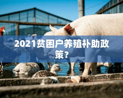 2021贫困户养殖补助政策？