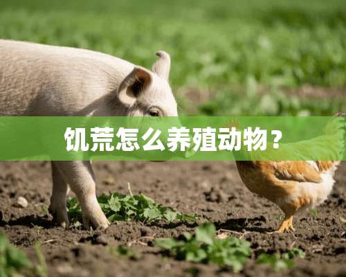 饥荒怎么养殖动物？