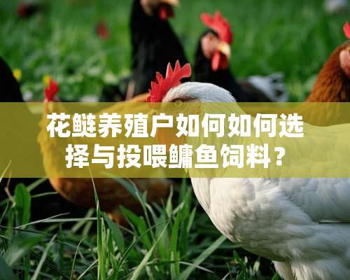 花鲢养殖户如何如何选择与投喂鳙鱼饲料？