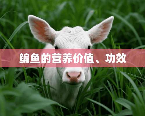 鳊鱼的营养价值、功效