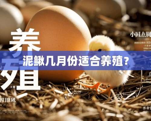 泥鳅几月份适合养殖？