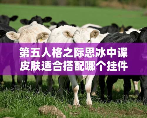 第五人格之际思冰中谍皮肤适合搭配哪个挂件？