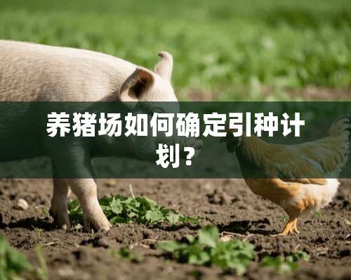 养猪场如何确定引种计划？