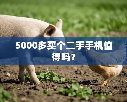 5000多买个二手手机值得吗？