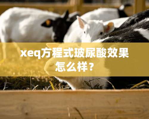 xeq方程式玻尿酸效果怎么样？