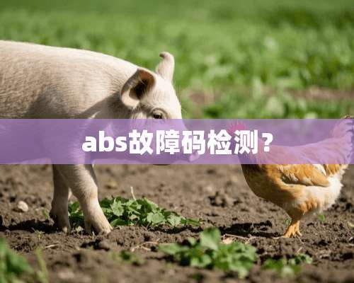 abs故障码检测？