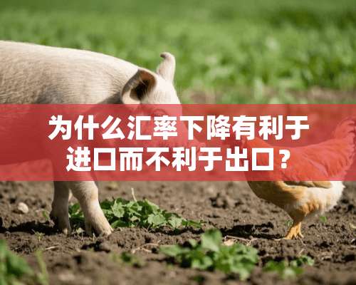 为什么汇率下降有利于进口而不利于出口？