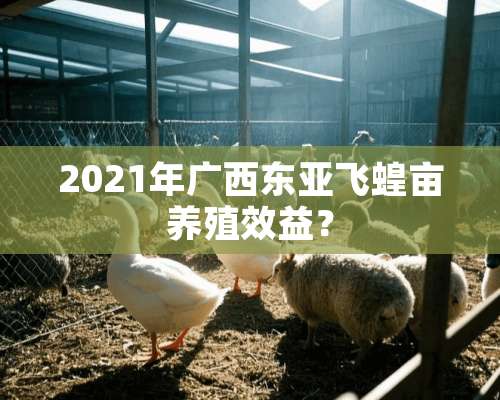 2021年广西东亚飞蝗亩养殖效益？