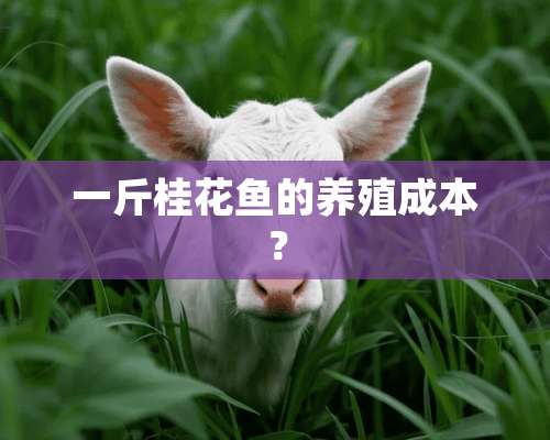 一斤桂花鱼的养殖成本？