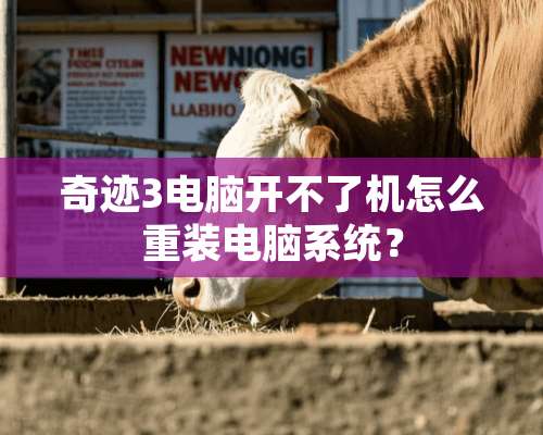 奇迹3电脑开不了机怎么重装电脑系统？