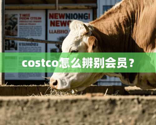 costco怎么辨别会员？