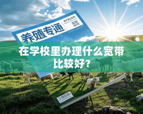 在学校里办理什么宽带比较好？