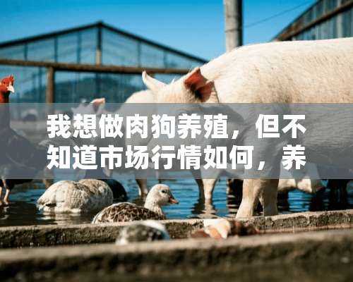 我想做肉狗养殖，但不知道市场行情如何，养什么品种的狗好？