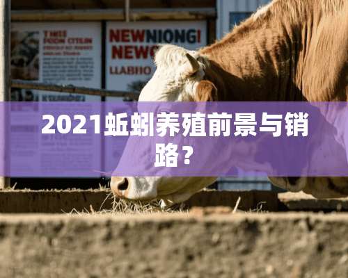 2021蚯蚓养殖前景与销路？