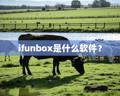 ifunbox是什么软件？