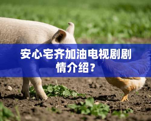 安心宅齐加油电视剧剧情介绍？