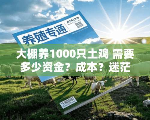 大棚养1000只土鸡 需要多少资金？成本？迷茫