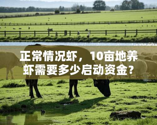 正常情况虾，10亩地养虾需要多少启动资金？