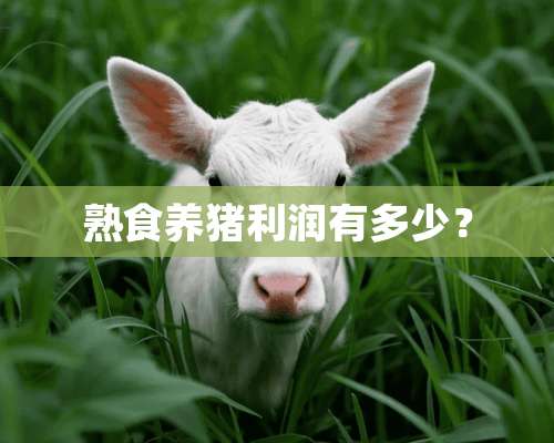 熟食养猪利润有多少？