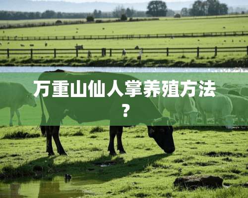 万重山仙人掌养殖方法？